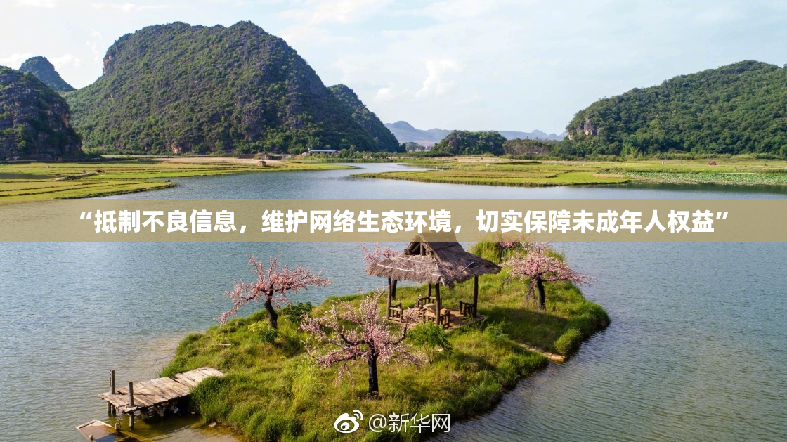 “抵制不良信息，维护网络生态环境，切实保障未成年人权益”