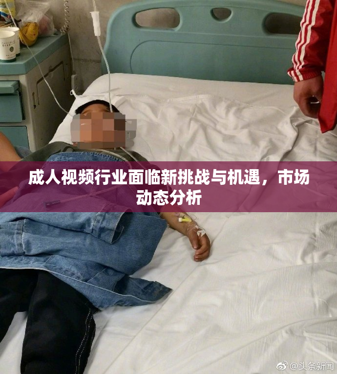成人视频行业面临新挑战与机遇，市场动态分析