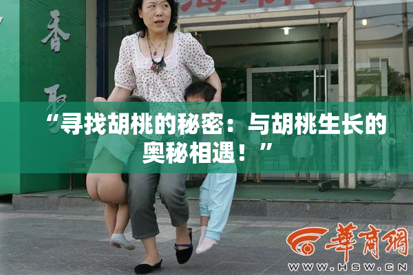 “寻找胡桃的秘密：与胡桃生长的奥秘相遇！”
