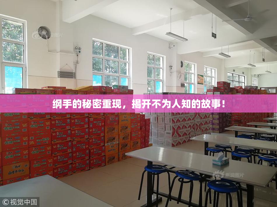 纲手的秘密重现，揭开不为人知的故事！