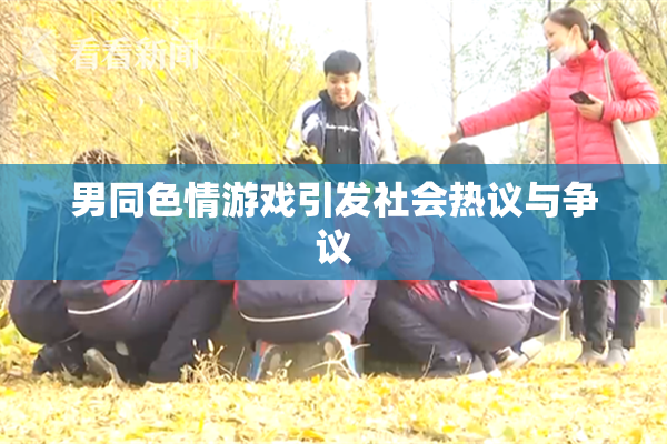 男同色情游戏引发社会热议与争议