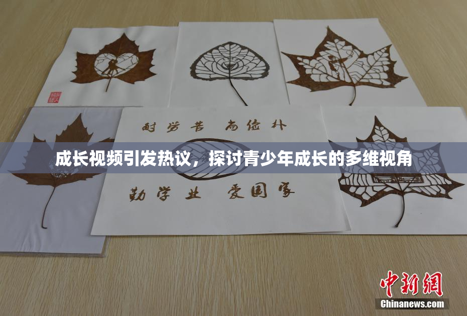成长视频引发热议，探讨青少年成长的多维视角