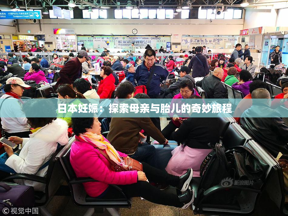 日本妊娠：探索母亲与胎儿的奇妙旅程