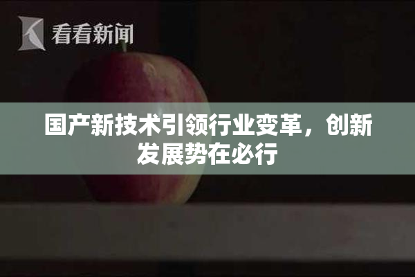 国产新技术引领行业变革，创新发展势在必行