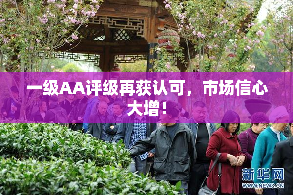 一级AA评级再获认可，市场信心大增！