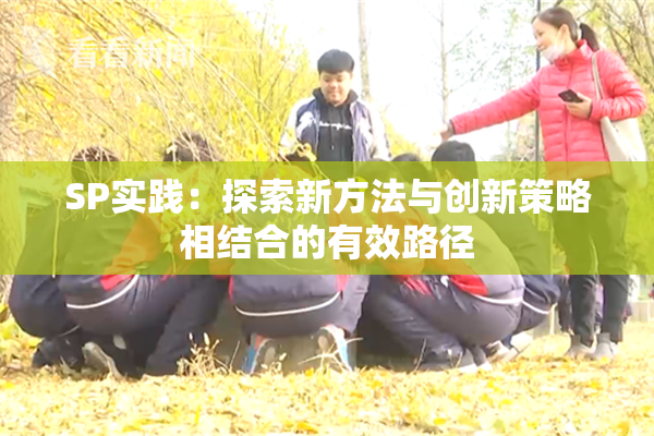 SP实践：探索新方法与创新策略相结合的有效路径