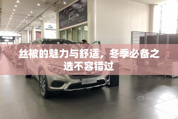丝被的魅力与舒适，冬季必备之选不容错过