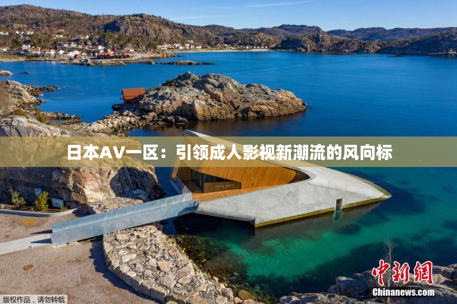 日本AV一区：引领成人影视新潮流的风向标