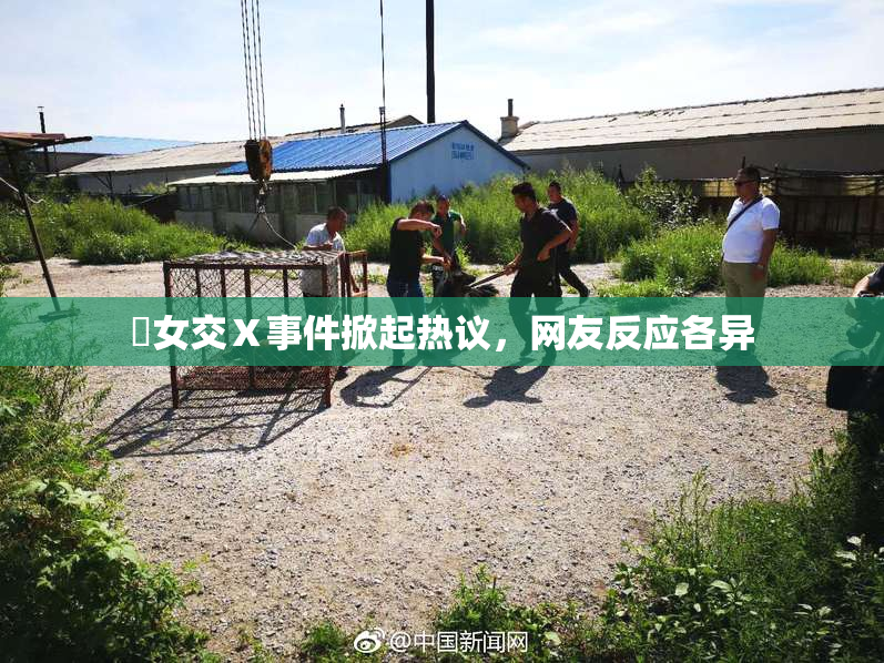 乣女交Ⅹ事件掀起热议，网友反应各异