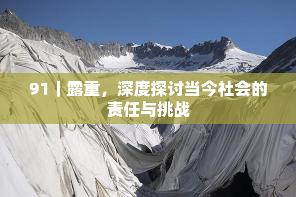 91丨露重，深度探讨当今社会的责任与挑战