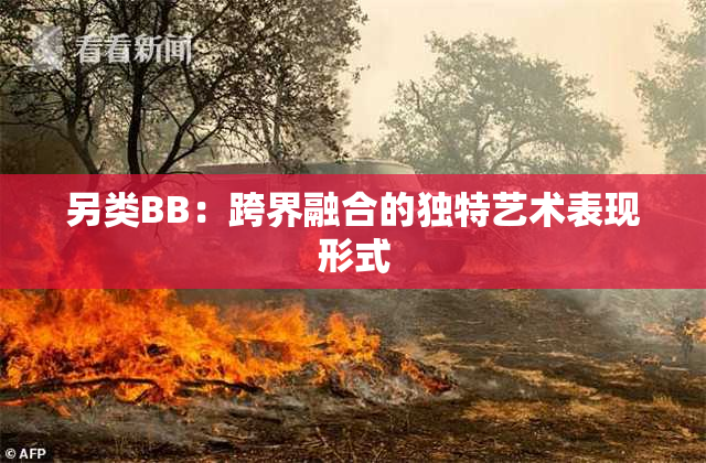 另类BB：跨界融合的独特艺术表现形式