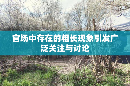 官场中存在的粗长现象引发广泛关注与讨论