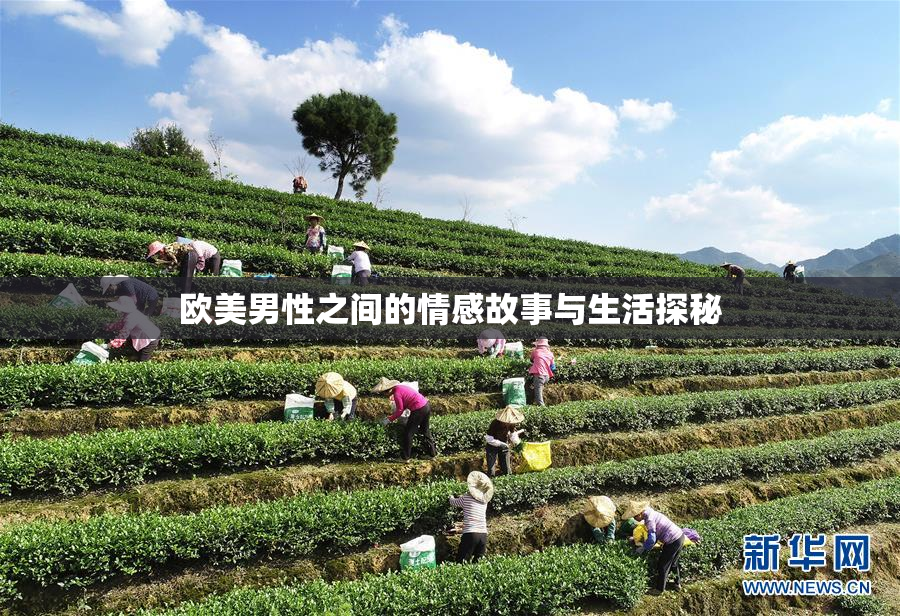 欧美男性之间的情感故事与生活探秘