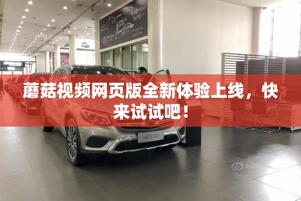 蘑菇视频网页版全新体验上线，快来试试吧！