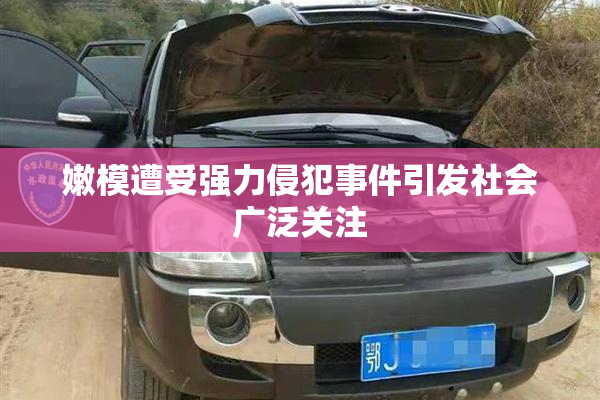 嫩模遭受强力侵犯事件引发社会广泛关注