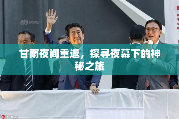 甘雨夜间重返，探寻夜幕下的神秘之旅