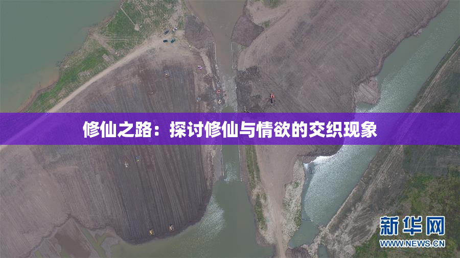 修仙之路：探讨修仙与情欲的交织现象