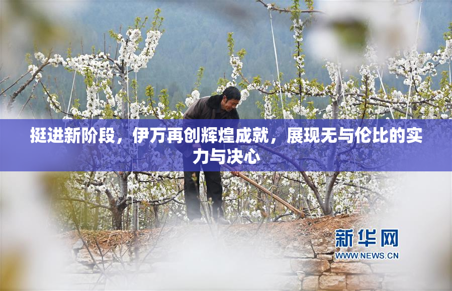 挺进新阶段，伊万再创辉煌成就，展现无与伦比的实力与决心