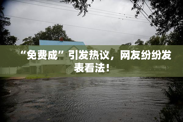 “免费成”引发热议，网友纷纷发表看法！