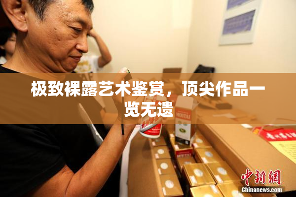极致裸露艺术鉴赏，顶尖作品一览无遗