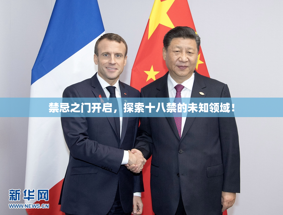 禁忌之门开启，探索十八禁的未知领域！