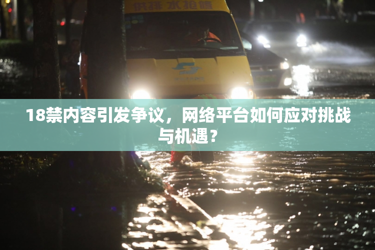 18禁内容引发争议，网络平台如何应对挑战与机遇？
