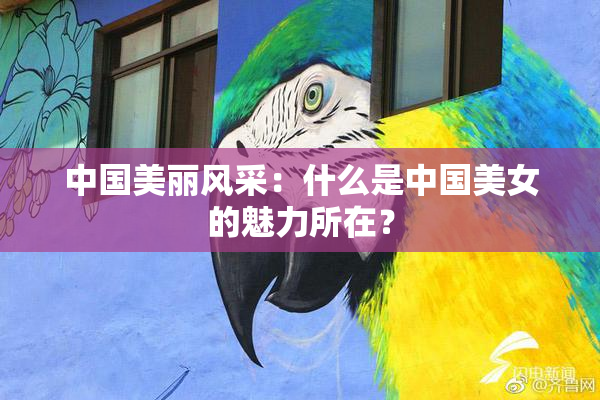 中国美丽风采：什么是中国美女的魅力所在？