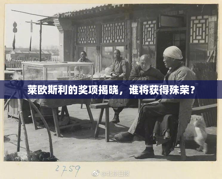莱欧斯利的奖项揭晓，谁将获得殊荣？