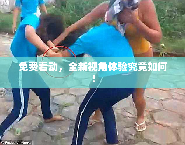 免费看动，全新视角体验究竟如何！
