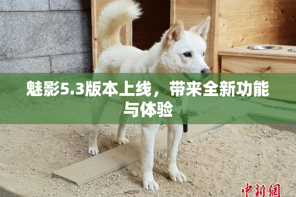 魅影5.3版本上线，带来全新功能与体验