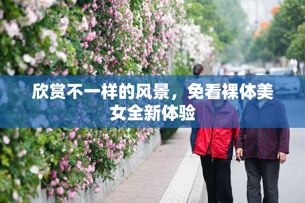 欣赏不一样的风景，免看裸体美女全新体验