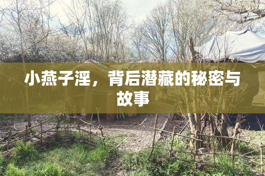 小燕子淫，背后潜藏的秘密与故事