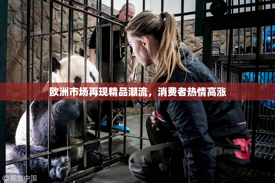 欧洲市场再现精品潮流，消费者热情高涨