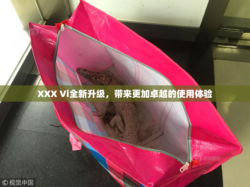 XXX Vi全新升级，带来更加卓越的使用体验