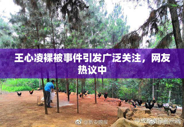 王心凌裸被事件引发广泛关注，网友热议中
