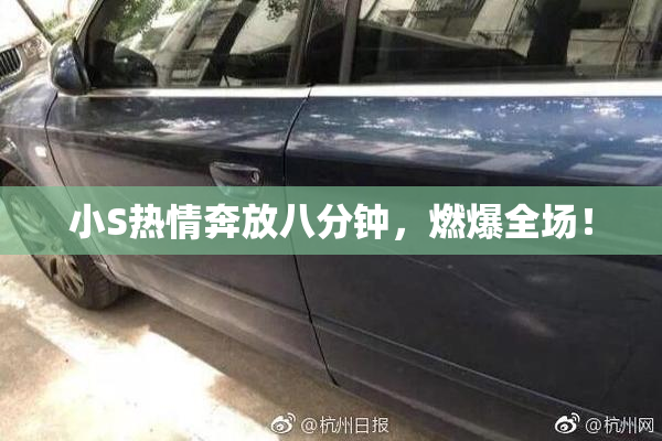 小S热情奔放八分钟，燃爆全场！
