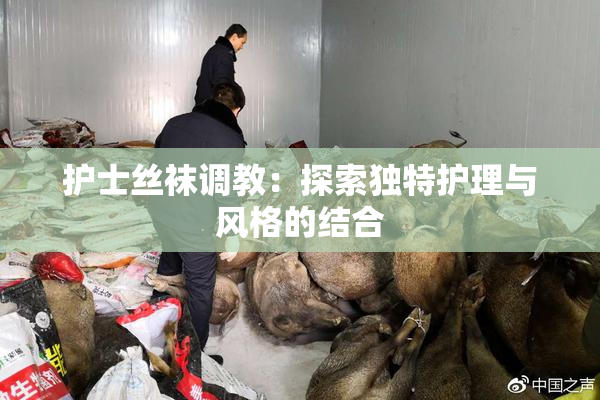 护士丝袜调教：探索独特护理与风格的结合