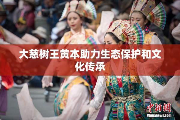 大慈树王黄本助力生态保护和文化传承