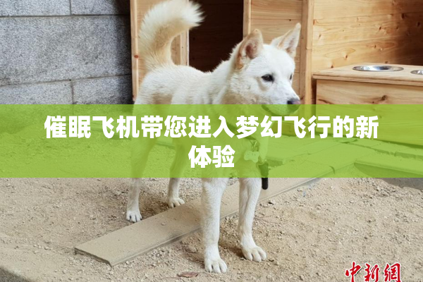 催眠飞机带您进入梦幻飞行的新体验