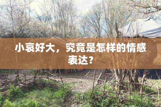 小哀好大，究竟是怎样的情感表达？