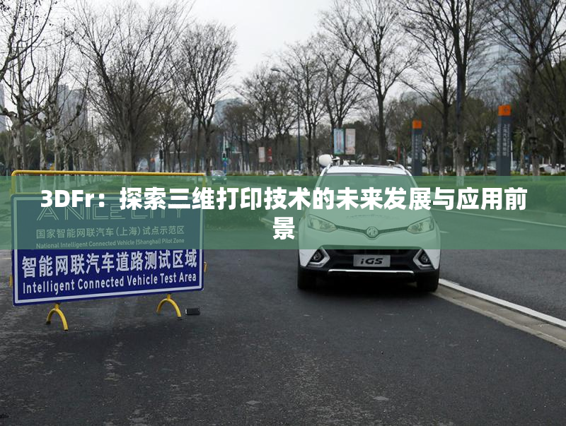3DFr：探索三维打印技术的未来发展与应用前景