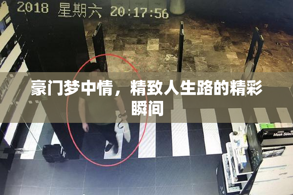 豪门梦中情，精致人生路的精彩瞬间