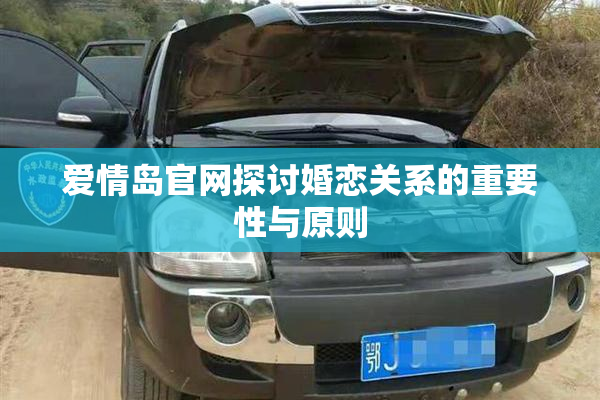 爱情岛官网探讨婚恋关系的重要性与原则
