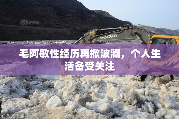 毛阿敏性经历再掀波澜，个人生活备受关注