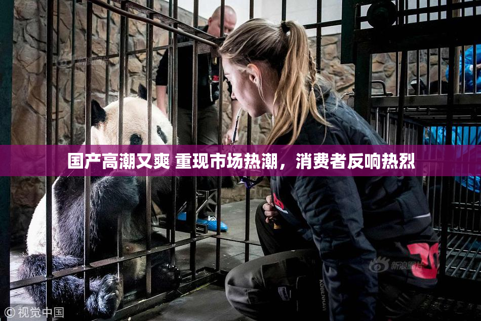 国产高潮又爽 重现市场热潮，消费者反响热烈