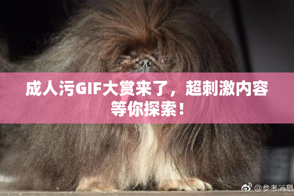 成人污GIF大赏来了，超刺激内容等你探索！