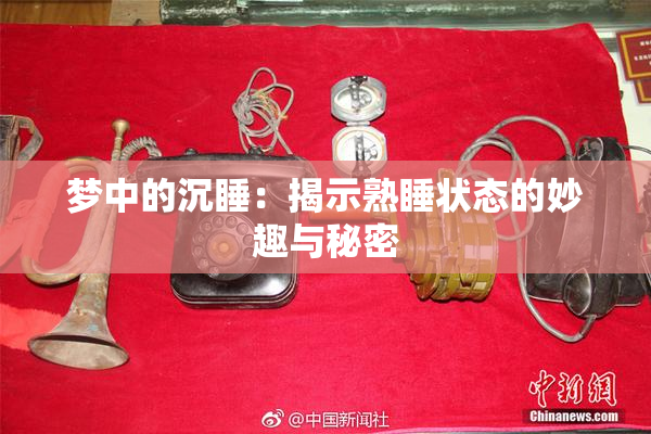 梦中的沉睡：揭示熟睡状态的妙趣与秘密