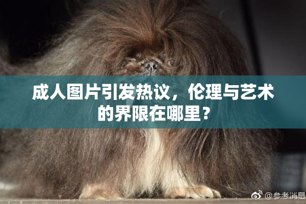 成人图片引发热议，伦理与艺术的界限在哪里？