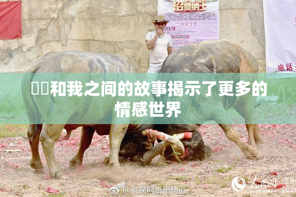 妺妺和我之间的故事揭示了更多的情感世界