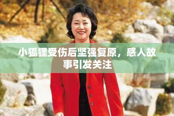 小狐狸受伤后坚强复原，感人故事引发关注